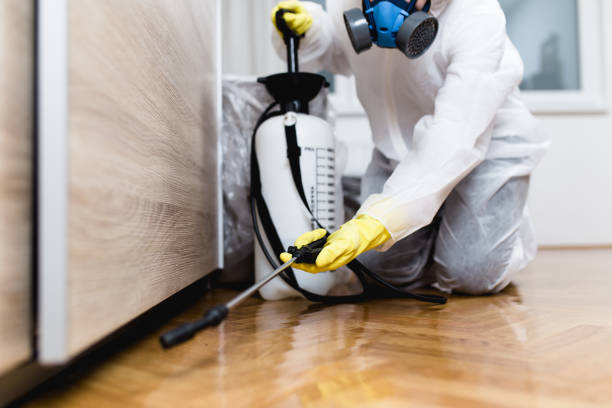 Best Commercial Pest Control Services  in Staffd, OR