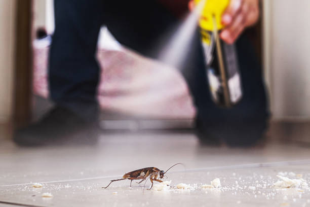 Best Pest Control for Restaurants  in Staffd, OR